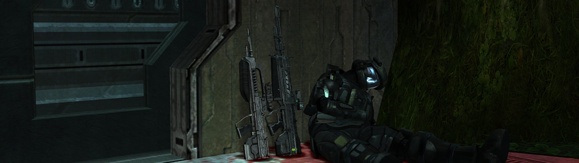 An ODST, dead, lying with a Battle Rifle and DMR comically positioned next to each other.